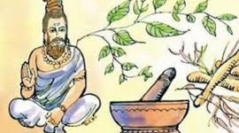 Timeline: plantas medicinales