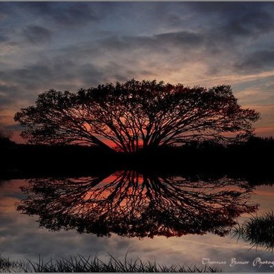 Timeline: 1800 - 1850