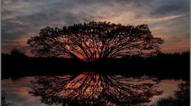 Timeline: 1800 - 1850