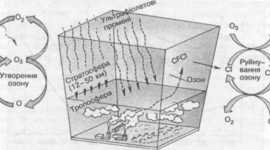 Timeline: Руйнування озонового шару