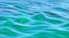 Timeline: The Finding of New France