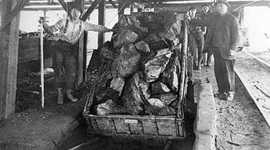 Timeline: Mining in Nanaimo