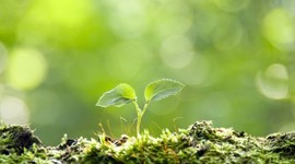 Timeline: Ron's Life