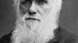 Timeline: Charles Robert Darwin