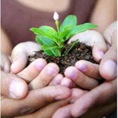 Timeline: Development Through Childhood