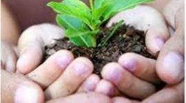 Timeline: Development Through Childhood