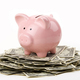Piggy on money1