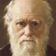 Darwin 1darwincolorviejo