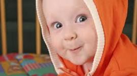 Timeline: Toddler Development (13 Months-36 Months)