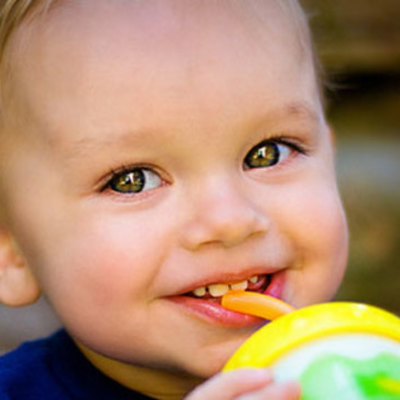 Timeline: Toddler Timeline