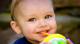 Timeline: Toddler Timeline