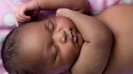 Timeline: Toddler Timeline