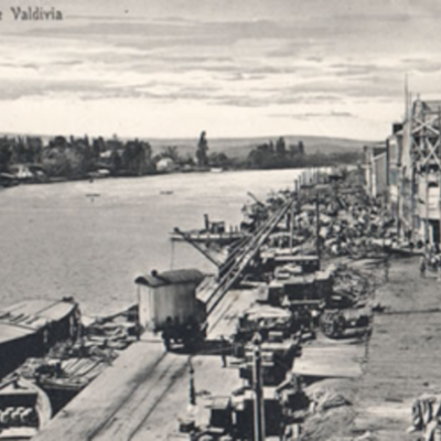 Timeline: Colonización  Valdivia y Llanquihue (1850-1910)