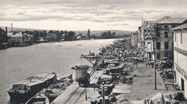 Timeline: Colonización  Valdivia y Llanquihue (1850-1910)