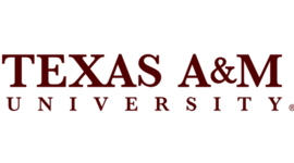 Timeline: living timeline