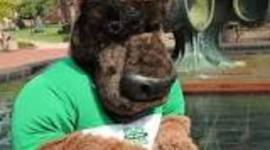 Timeline: Marshall University