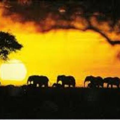 Timeline: French Revolution