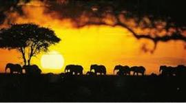 Timeline: French Revolution