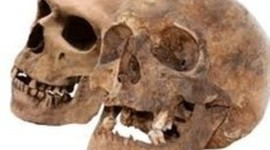 Timeline: Evolución de los Homínidos