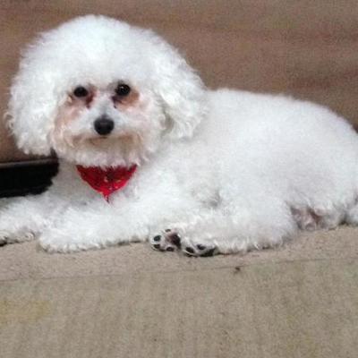 Timeline: History of Canada