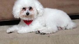 Timeline: History of Canada