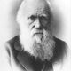 Darwin
