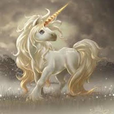 Timeline: Unicorn Study Group: South Africa!:) :)