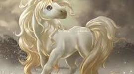 Timeline: Unicorn Study Group: South Africa!:) :)