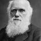 Darwin