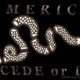 America secede or die black final 300x188
