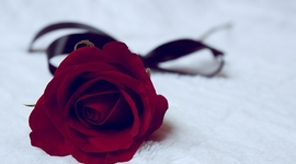 Timeline: the history of the Paris Opera house