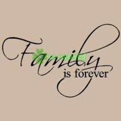 Timeline: La Historia De La Meva Fmilia i Fets Historics