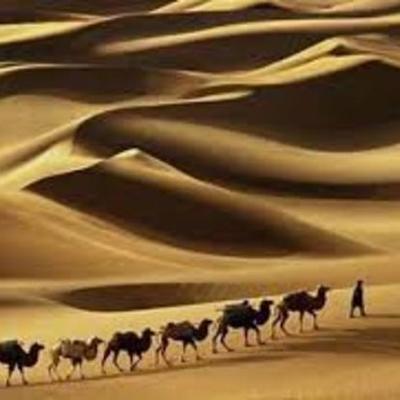 Timeline: The Qur'an