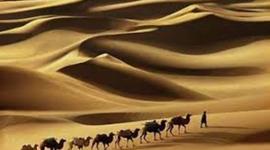 Timeline: The Qur'an