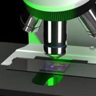 Timeline: The History of Cells and Microscopes