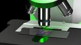 Timeline: The History of Cells and Microscopes