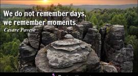 Timeline: My Timeline