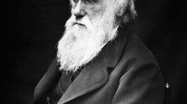 Timeline: Vida de Darwin