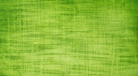 Timeline: Kunst Algemeen