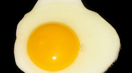 Timeline: World History Mr. Bomar's class