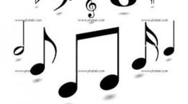 Timeline: signos de la musica