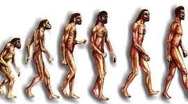 Timeline: Historia de la humanidad