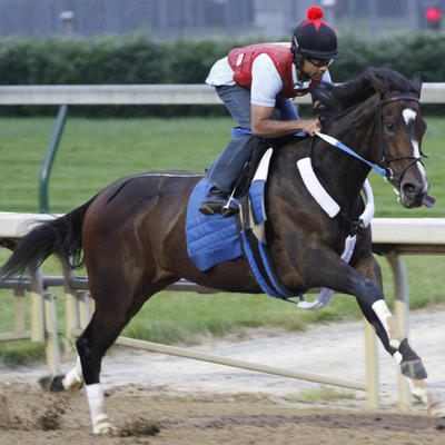 Timeline: Famous Female Racehorses