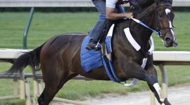 Timeline: Famous Female Racehorses