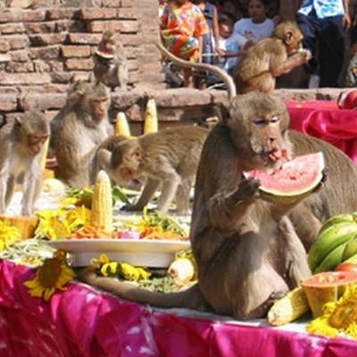 Timeline: The Amazing Race