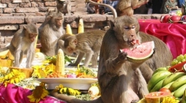 Timeline: The Amazing Race