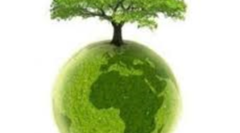 Timeline: Línea del Tiempo Turismo Sustentable