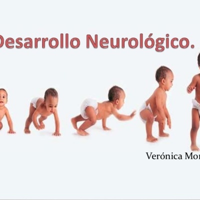 Timeline: Nuerologico