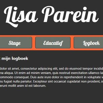 Timeline: Logboek Informatica