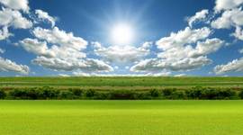 Timeline: Sukarno Life